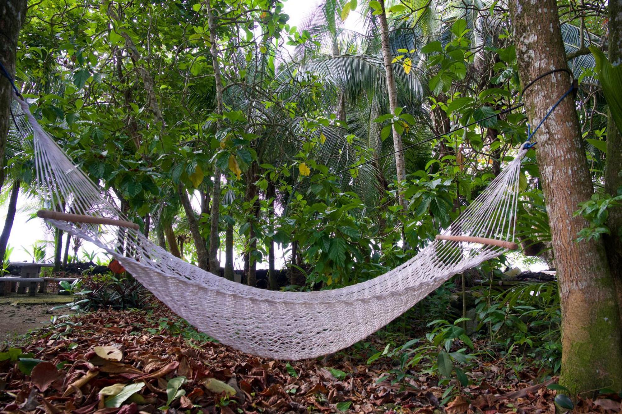 Hostel Casa Mamre Cahuita Exteriér fotografie